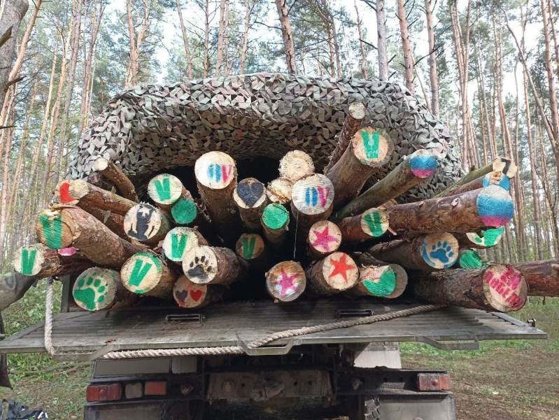 «Бобры» спешат на помощь: в Белгородской области волонтёры помогают заготавливать брёвна для российских военнослужащих