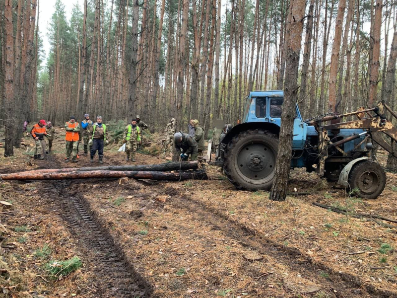 «Бобры» спешат на помощь: в Белгородской области волонтёры помогают заготавливать брёвна для российских военнослужащих