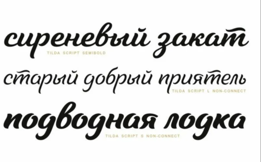 Бесплатные для коммерческого кириллические шрифты. Шрифты в Тильде. Скрипт шрифт. Шрифт script. Скриптовые шрифты.