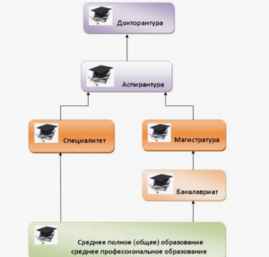 Бакалавриат и магистратура в чем отличие