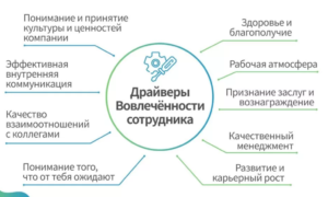 Как повысить вовлеченность сотрудников: секреты успешных компаний