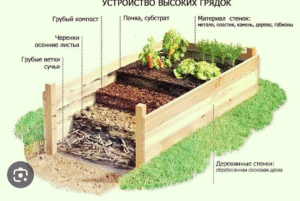 Как организовать строительный бизнес на даче: пошаговое руководство для начинающих