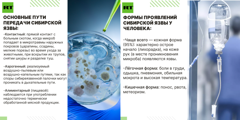 Купание рядом с сибирской язвой: опасны ли скотомогильники у Волги